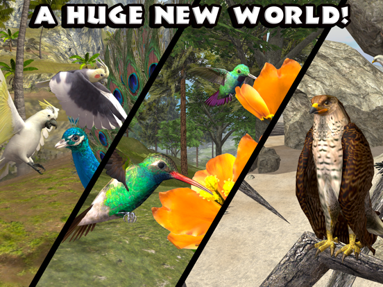 Ultimate Bird Simulator Ultimate Bird Simulator