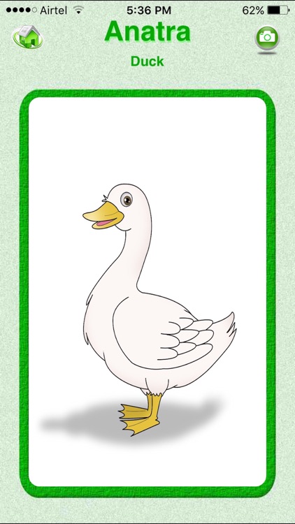 Flashcards Italian Lesson