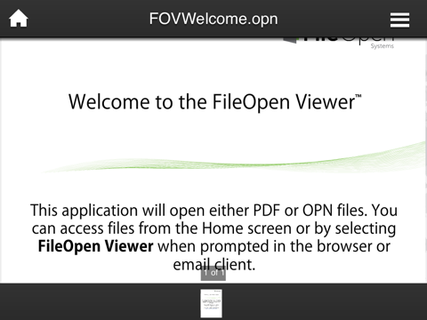 Скриншот из FileOpen Viewer
