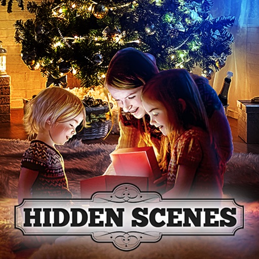 Hidden Scenes Christmas Puzzle iOS App