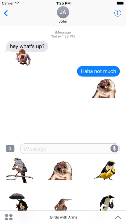 Birds with Arms Stickers