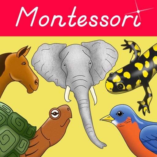 Parts Of Animals Vertebrates - Montessori Zoology Icon