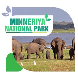 Minneriya National Park Travel Guide