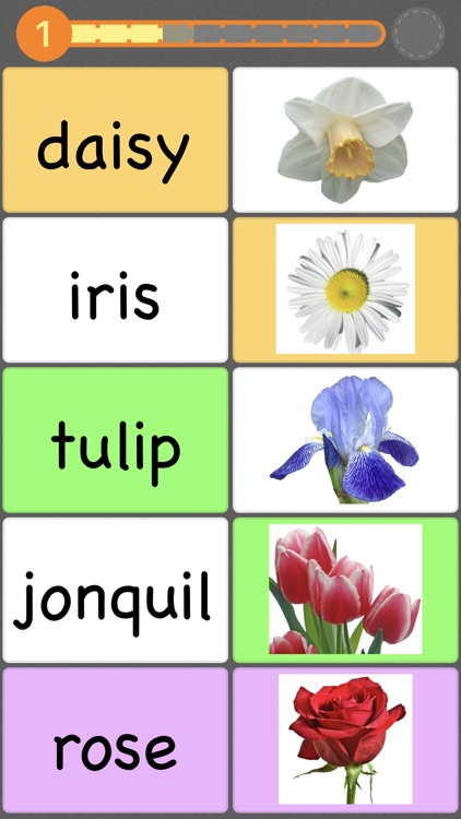 Flashcards by NKO — Engaging Flashcard Activities