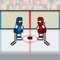 Hockey Physics