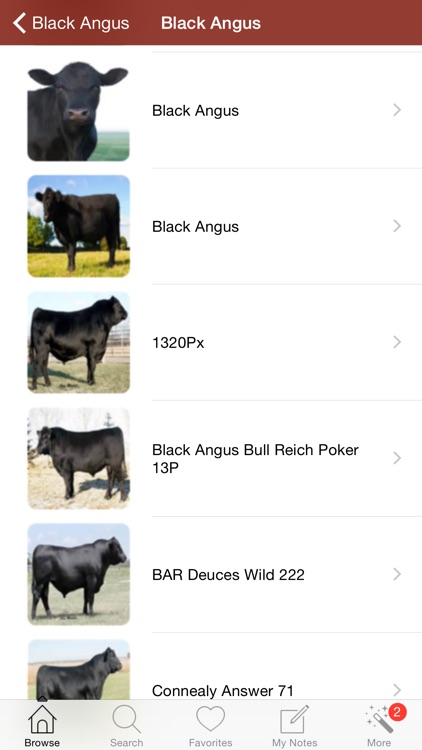 1500 Cattle Dictionary Breeds