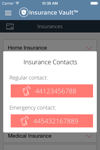 Insurance Vault screenshot 2