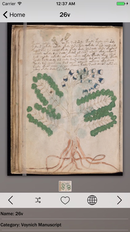 Voynich Manuscript Guide