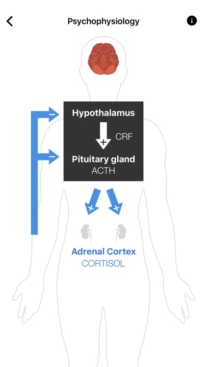 Burnout Aid screenshot-4
