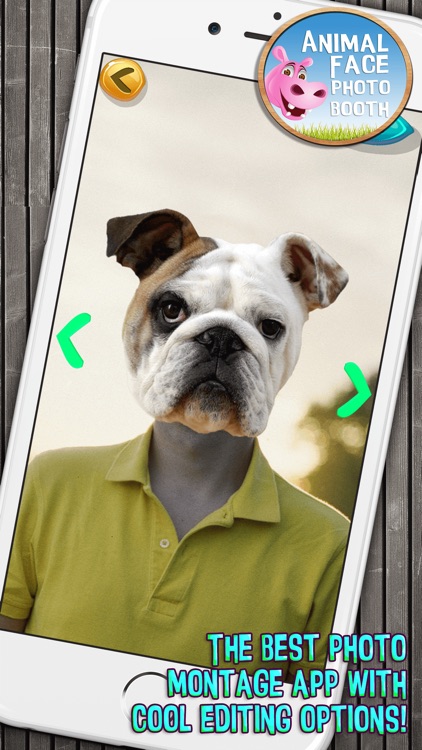 Animal Face Photo Booth with Funny Pet Sticker.s