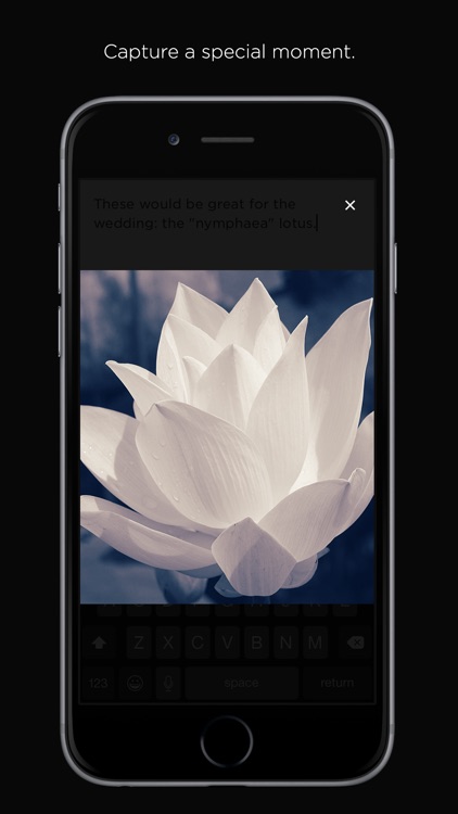 Squarespace Note