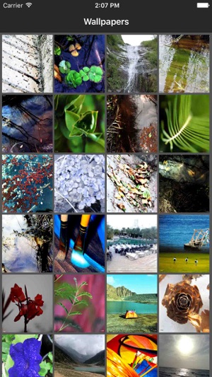 Photo Collection Walls(圖1)-速報App