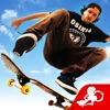 Skateboard Party 3 icon