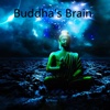 Practical Guide for Buddha's Brain- Happiness