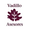 GRUPO VADILLO es un grupo de empresas dedicadas al asesoramiento fiscal, laboral, jurídico y contable de autónomos, pequeñas y medianas empresas y demás organizaciones empresariales de toda índole, así como a la tramitación de gestiones encomendadas al ejercicio profesional del Gestor Administrativo Colegiado