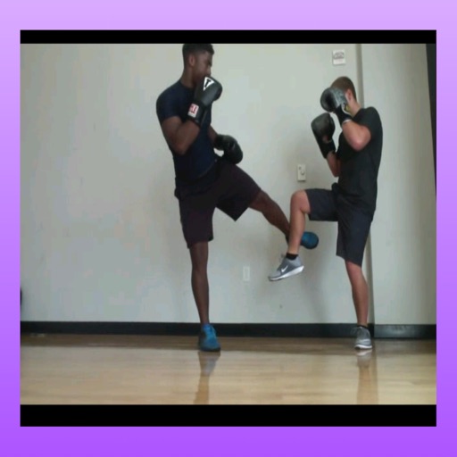 Muay Thai - Strikes, Counters, and Combos