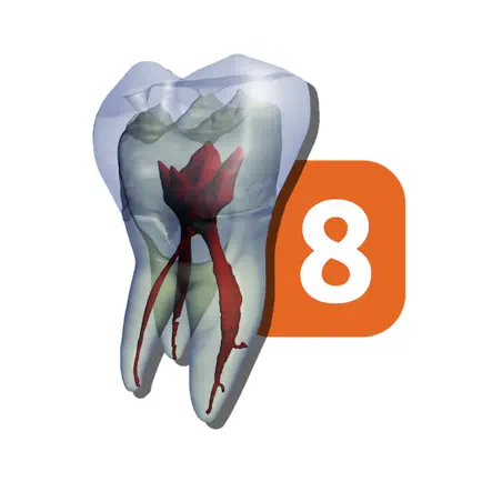 Tooth Atlas 8 Читы