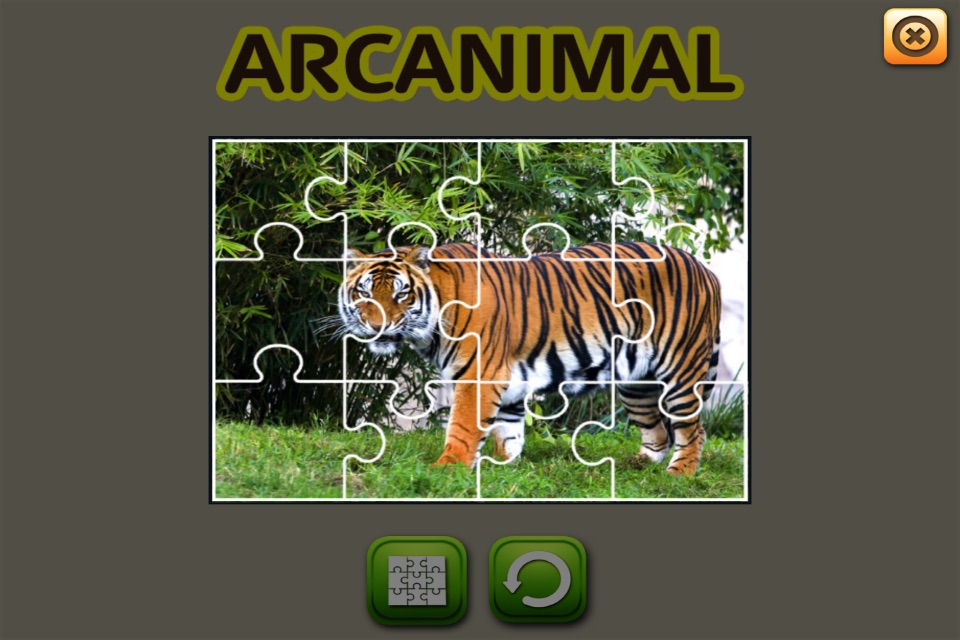 ARCANIMAL - ARC ANIMAL screenshot 4