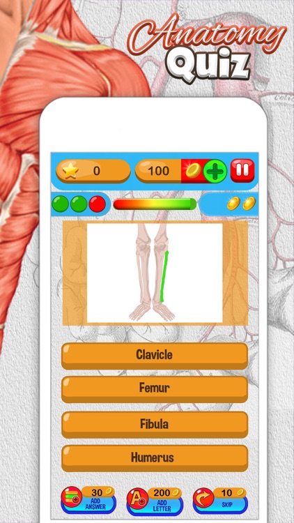 Anatomy Quiz - Science Pro Brain Education Game screenshot-3