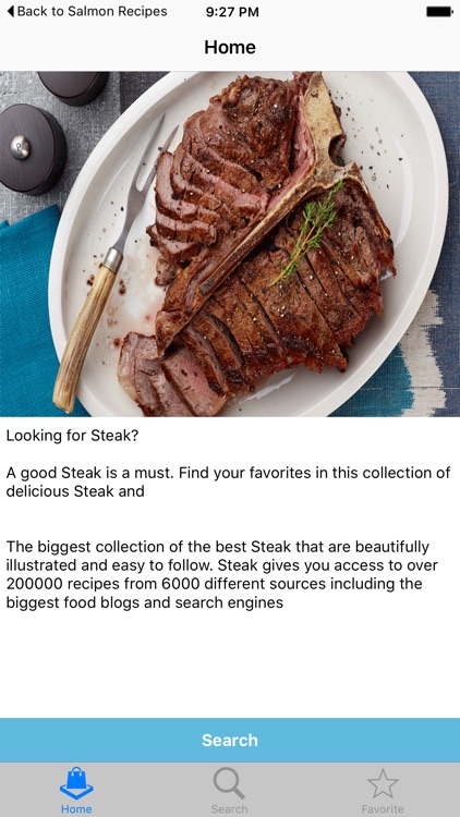 Steak Recipes - 10001 Unique Recipes