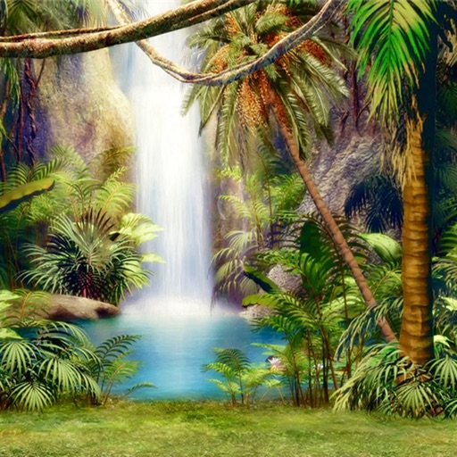 Tropical Rainforest Wallpapers HD- Art Pictures