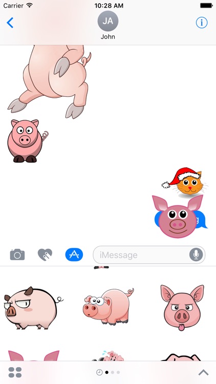 Funny Pig