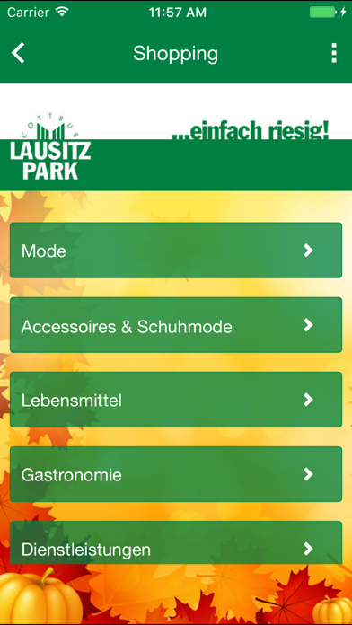 Lausitz Park Cottbus screenshot 3
