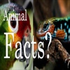Animal Facts SMS Messages - Latest Facts / New Facts