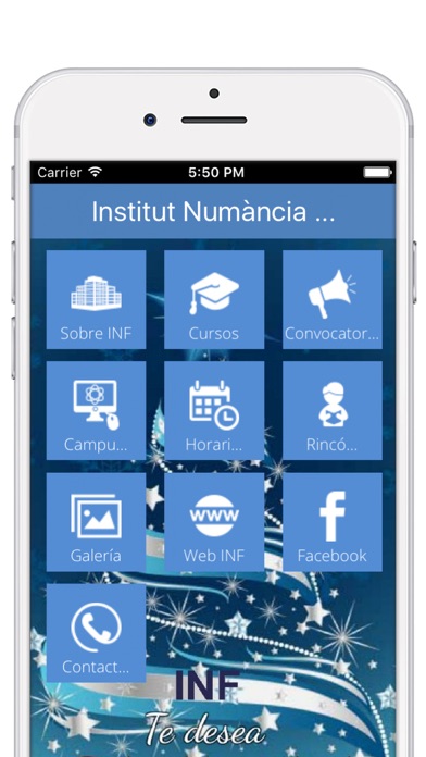Institut Numància Formació screenshot 2