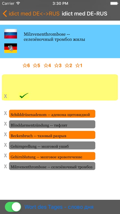 idict med RUS <-> DE screenshot-3