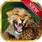 Wild Panther Slots Machine - Gambling simulator