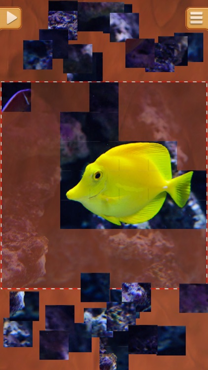 Cool Fish Jigsaw Puzzles - Fun Logical Games screenshot-3