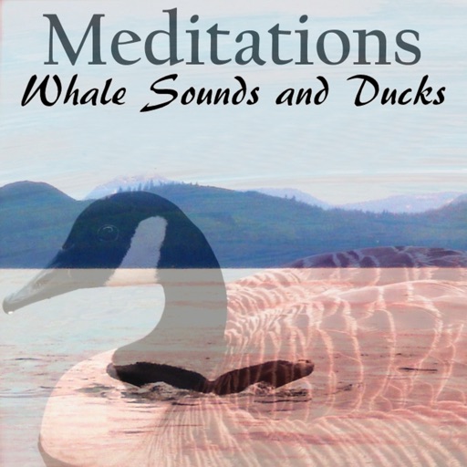 Meditations - Whale Sounds and Ducks iOS App