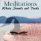 Relax as Meditations - Whale Sounds and Ducks transports your mind into a virtual relaxations