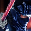 Icon Ninja Fighter Legends. The Shadow Street Fight