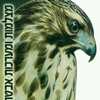 Hawk Eyes by AppsVillage