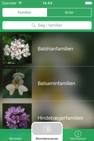 Vilde blomster screenshot 3