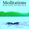 Meditations: Whale Sounds and Waltz Music