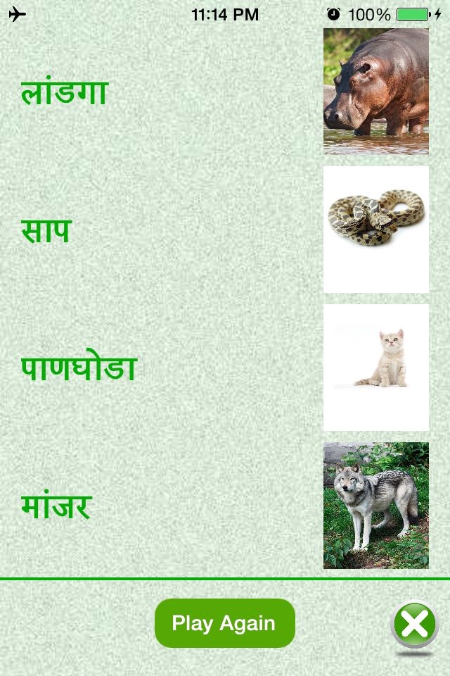 FlashCards Marathi Lesson screenshot 4