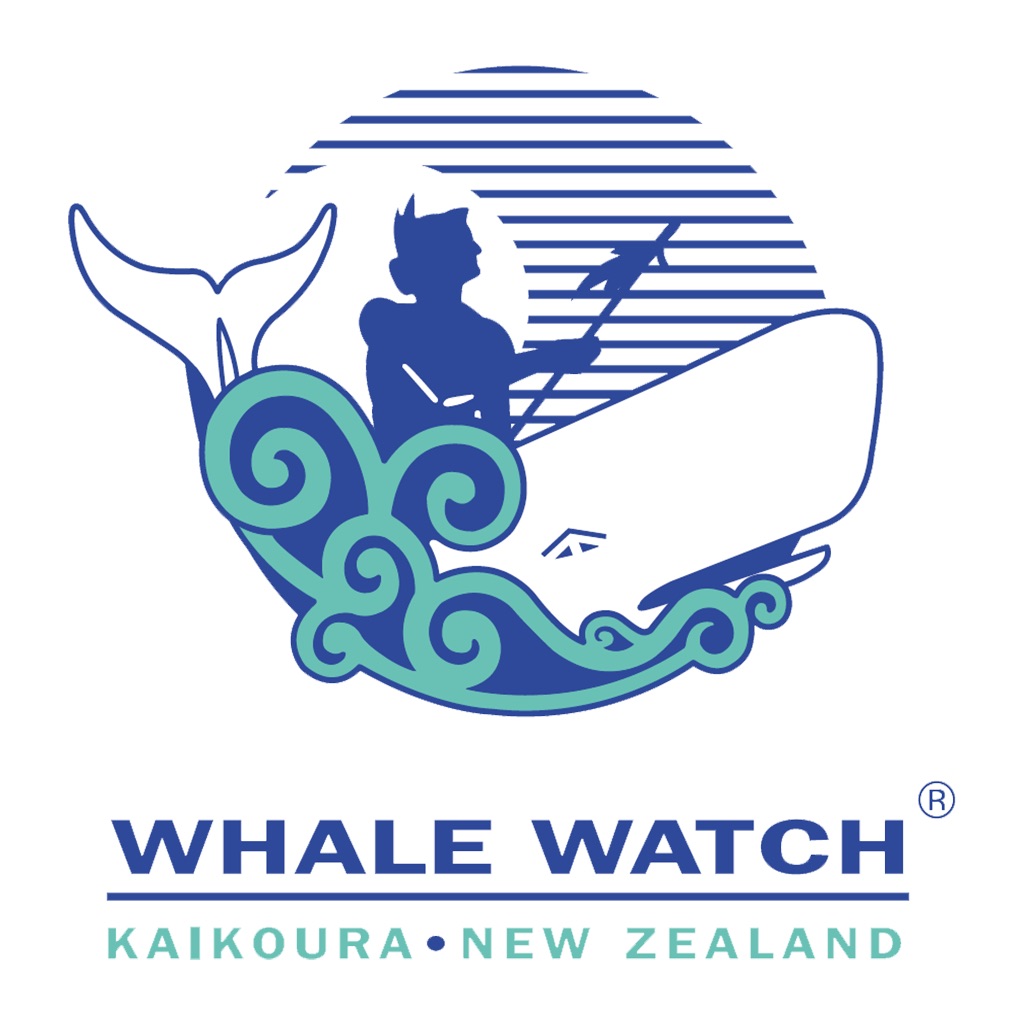 whale watch kaikoura limited essay whale watch kaikoura limited essay