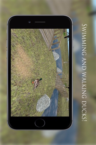 Duck Pond VR screenshot 4