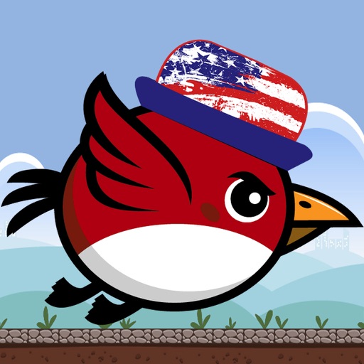 USA Bird Icon