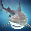 Shark Survival | Great Water World Evolution Game For Pros