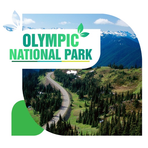 Olympic National Park Travel Guide