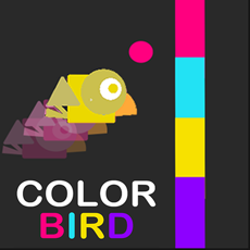 Activities of Color Bird World