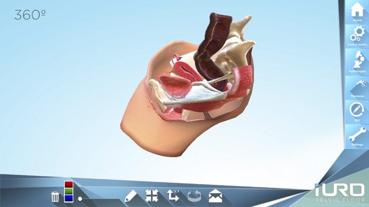 iURO Pelvic Floor screenshot-4