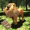 Wild Lion Jungle Simulator Adevnture 3D