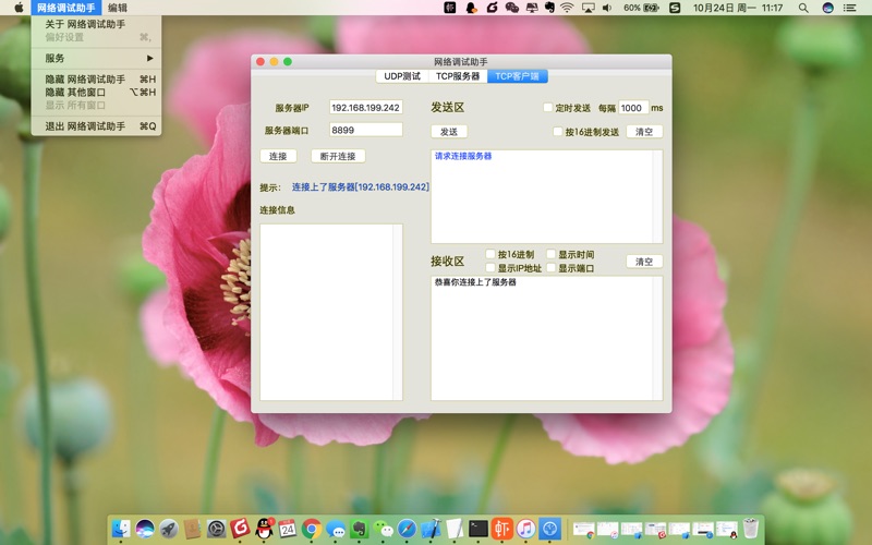 【图】网络调试助手(截图3) 【图】网络调试助手(截图3)
