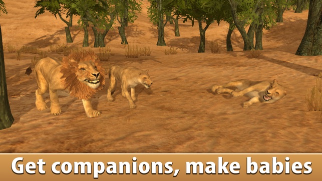 Lion Simulator: Wild African Animal Full(圖3)-速報App