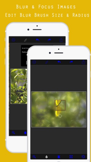 Photo Blur Background Editor Free - Quick Blur(圖1)-速報App